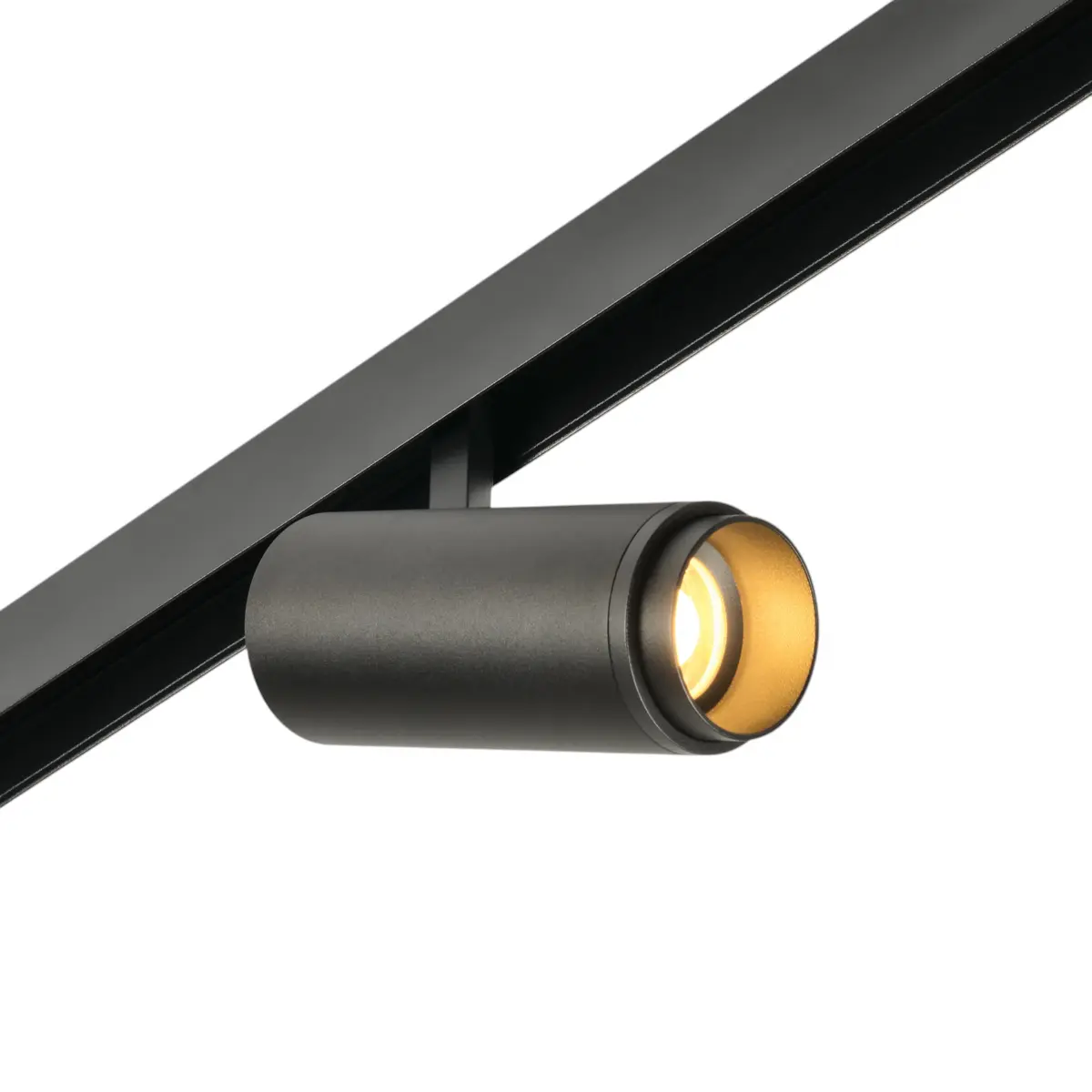 Трековый светодиодный светильник 48V магнитный MyFar Рэйзум MT0222-20W3K-S-B