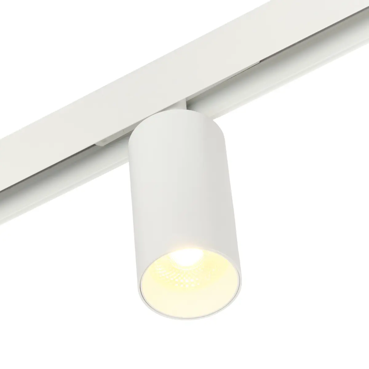 Трековый магнитный светодиодный светильник 18W 48V MyFar Рэй MT0220-18W3K-W