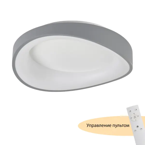 Потолочный светильник с пультом управления круглый MyFar Диона MR9190-CL