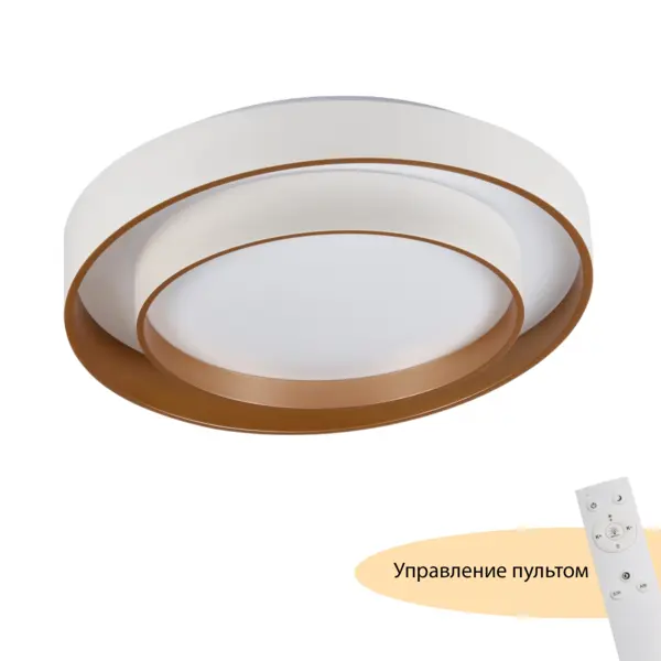 Потолочный светодиодный светильник круглый с пультом MyFar Рея MR9161-CL