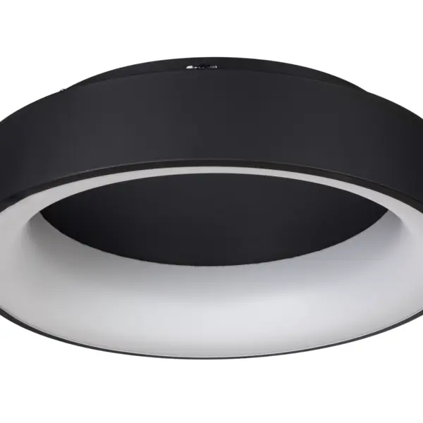 Потолочный светильник с пультом управления круглый IP40 MyFar Шеннон MR2193-1PL